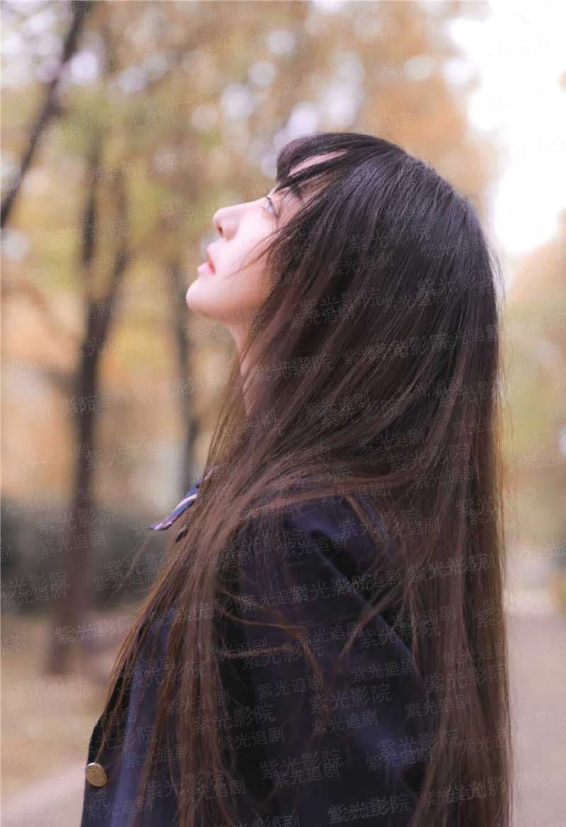 星际最强驯兽师[重生]