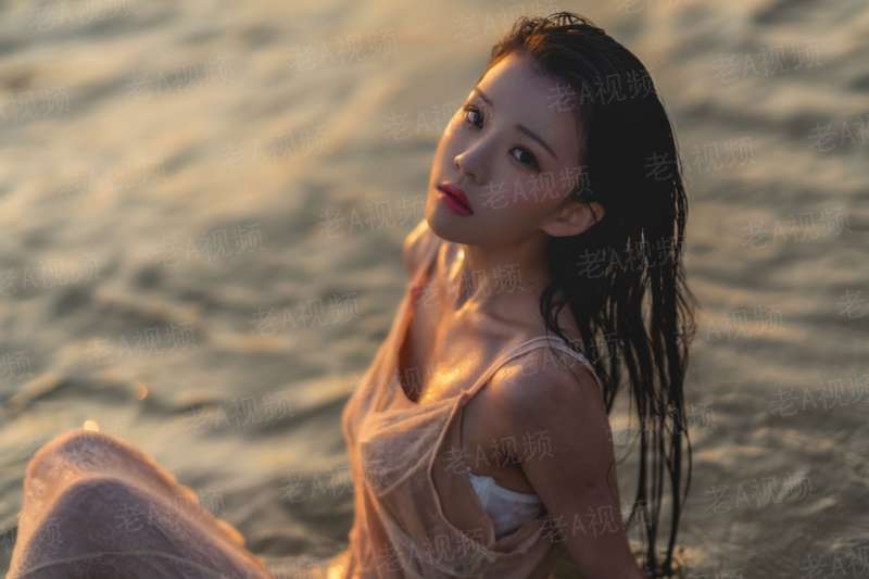 完美证据电视剧全集免费播放